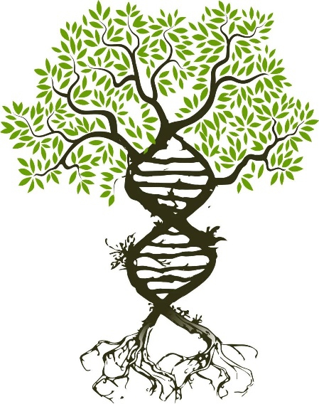 01145417318922.jpg 01145417318922.jpg